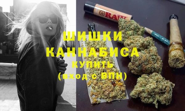 дживик Новодвинск