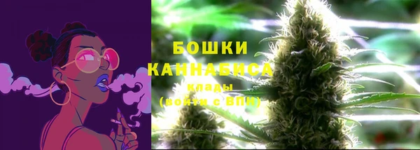 альфа пвп Новокубанск