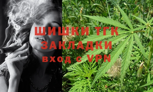 дживик Новодвинск