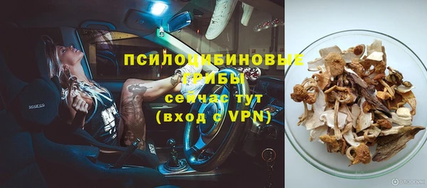 альфа пвп Новокубанск